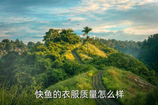 快魚(yú)服飾積分怎么換,快魚(yú)1000積分換多少錢...